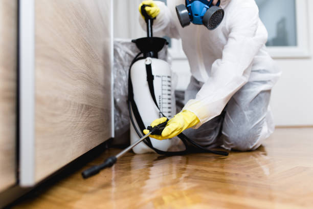 Best Affordable Pest Control Services  in Hampton, AR