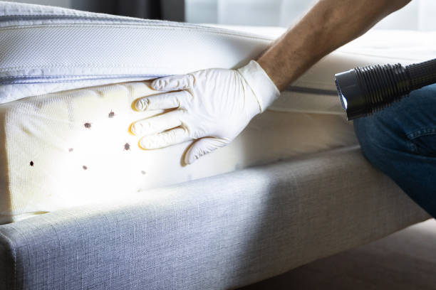 Best Best Pest Control Companies  in Hampton, AR