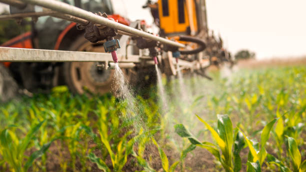 Best Wildlife Control Services  in Hampton, AR